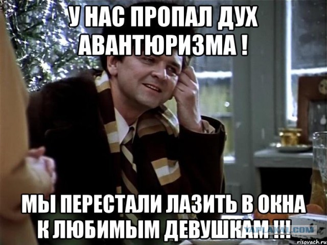 "Я сфотографировал своего кота на заборе, и только потом понял, зачем он туда забрался"