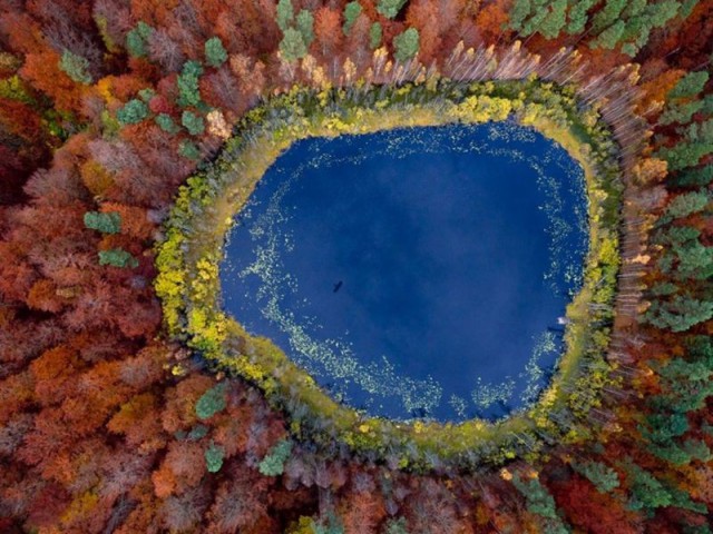 Моменты, запечатлённые на фото и просто позитив 5