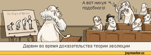 Возникновение и эволюция человека. Есть вопросы.