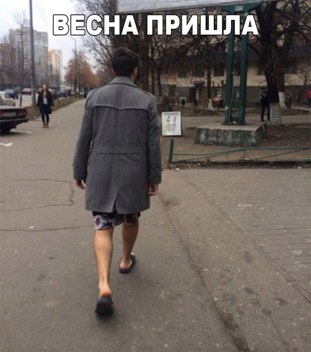 Подборка безудержного веселья