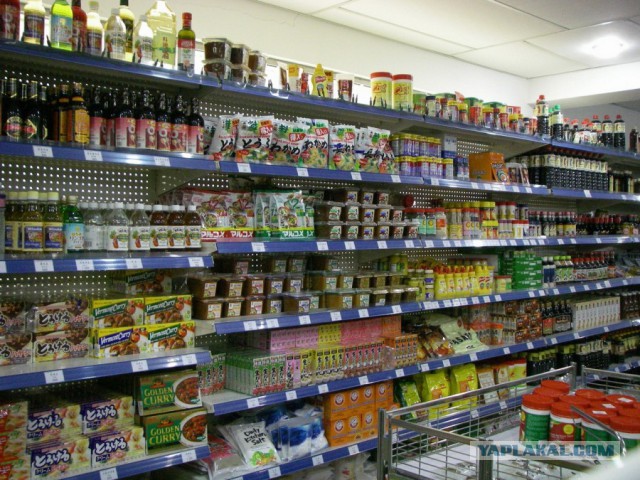 Пламенный репортаж телевидения КНДР о начале священной войны с американскими сумасбродами