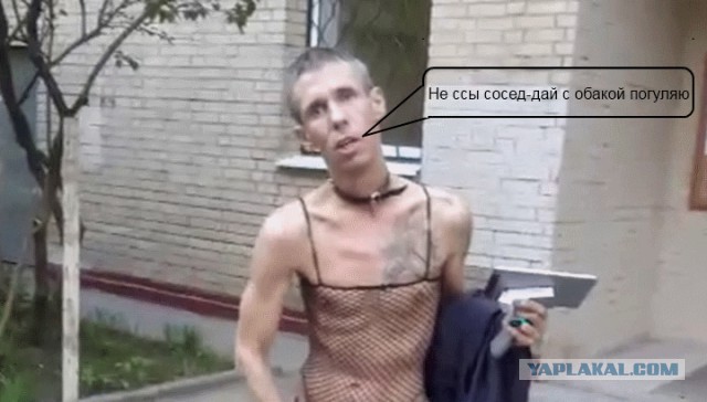 Слишком дружелюбные соседи.