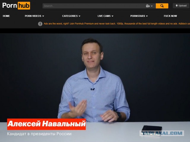 PornHub перезалил видео Навального, которое удалил YouTube