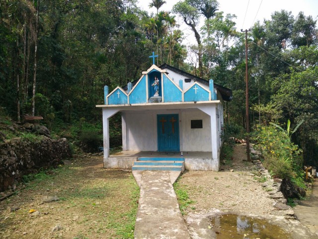 К живым мостам и обратно. Заметки из Индии