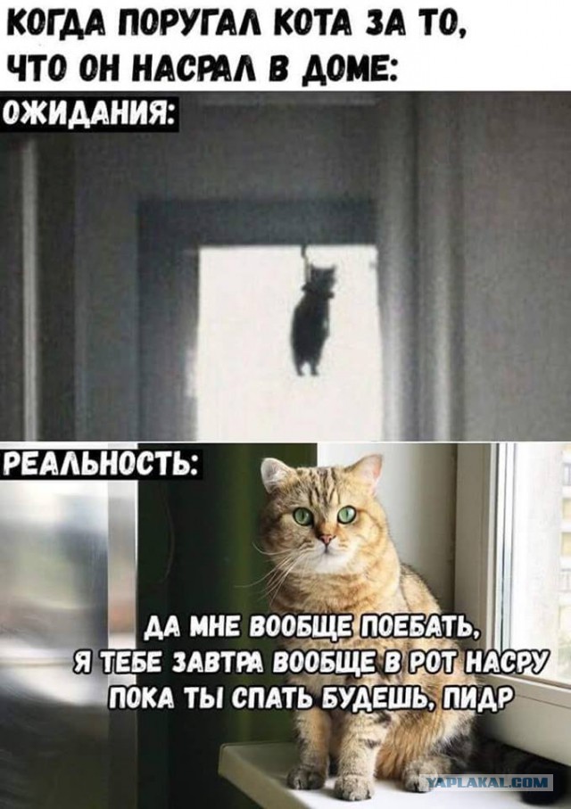 Немного картинок в эту среду