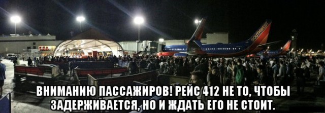 Коротко обо всём