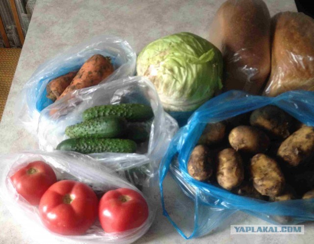Пять лет контрсанкциям. Как подорожали продукты в России - на примере одного чека
