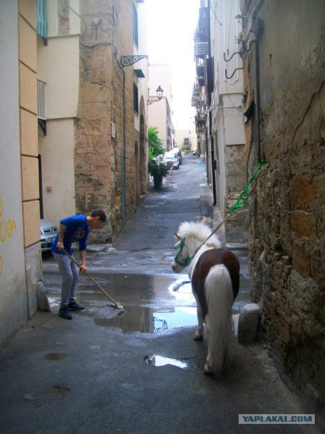 О сфинчоне в высших сферах