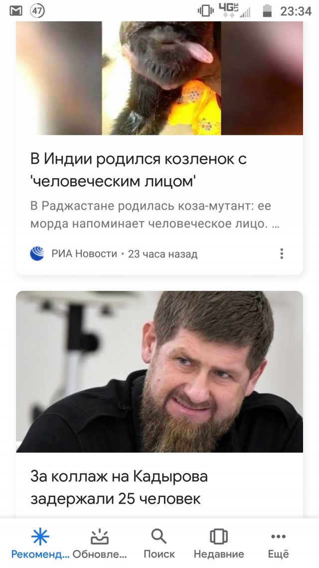 За коллаж на Кадырова задержали 25 человек