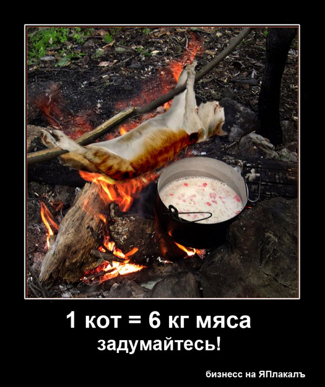 Я знал прикуп! Я в Сочи!