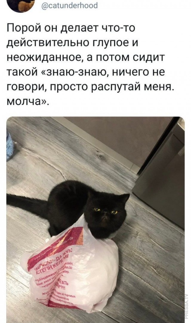 Картинки и мемы для настроения 018