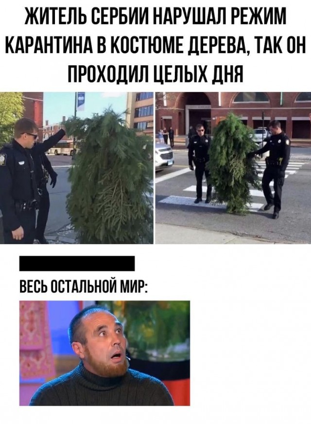 Загадочные обстоятельства