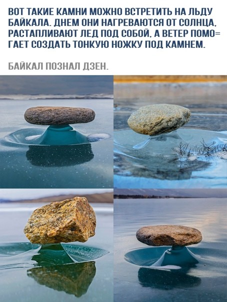 Картинки и мемы для настроения 015