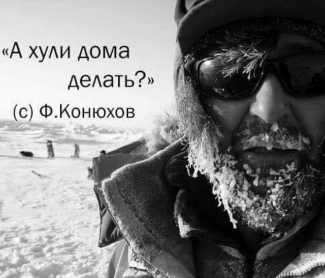 В Химках, возле Меги