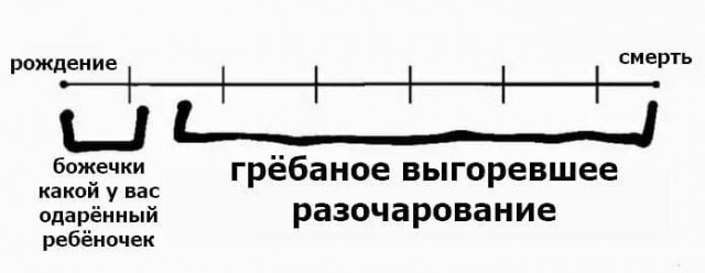 Тук тук тук! это деградация нах...