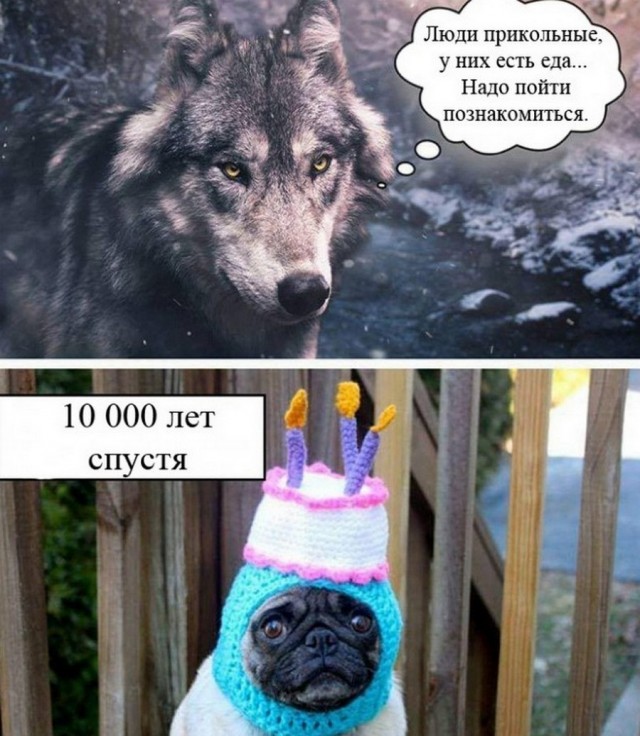 Картинки и мемы для настроения 26.08.2021