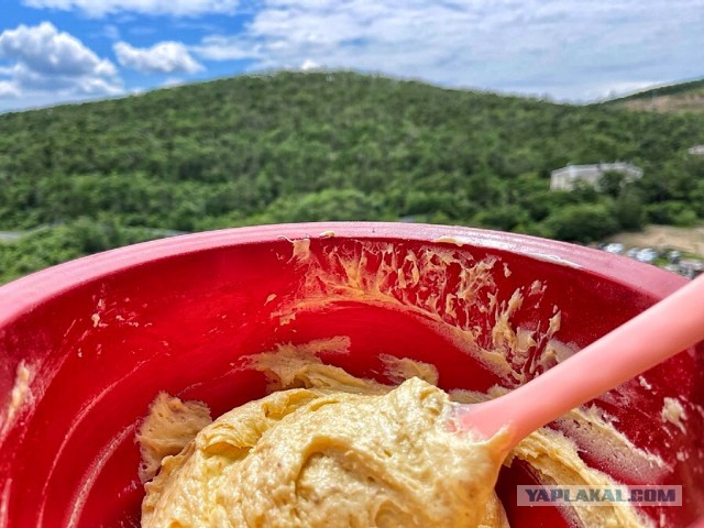 Быстро-вкусно: пирог на сметане с персиками