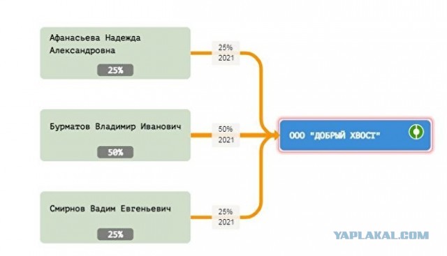 Почему, несмотря на гибель людей от бродячих собак, в России не введут эвтаназию животных?