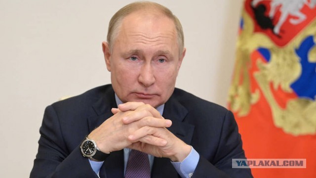 Девушка повторила заказ в Утконосе спустя месяц и сравнила цены