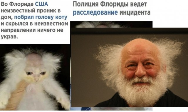 Да что же это такое-то, А?