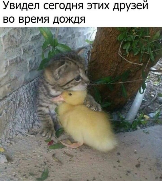 Так себе картинки 08.04.22