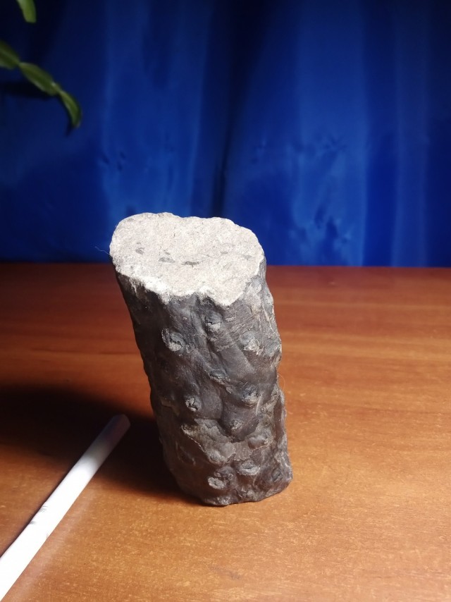 Вдогонку яйцу дракона