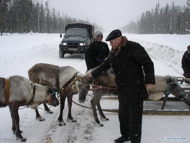 встреча на дороге