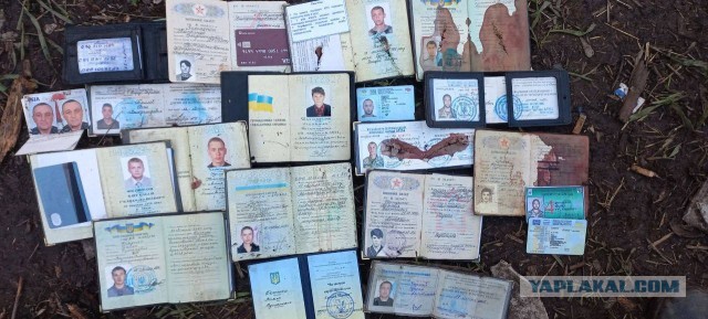 Под Изюмом попал в плен нацик Симанишин