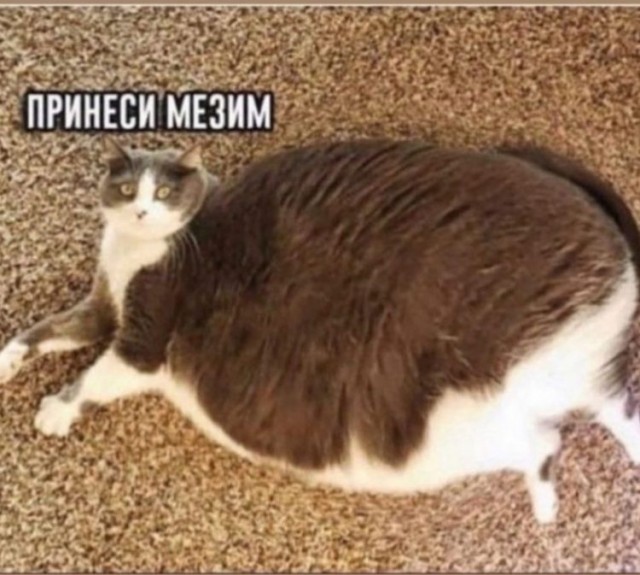 Пятница. Вечер. Картинки всякие... #5