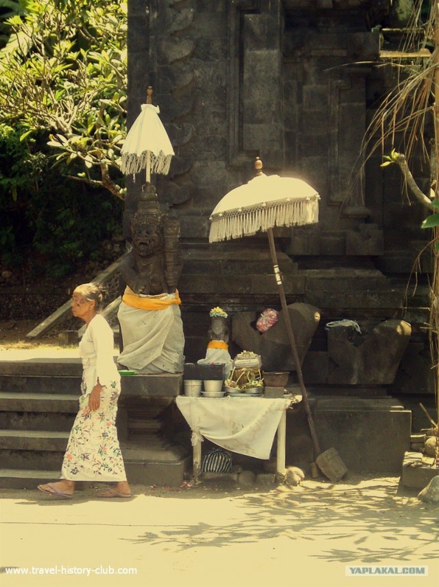 Они живут только 40 лет