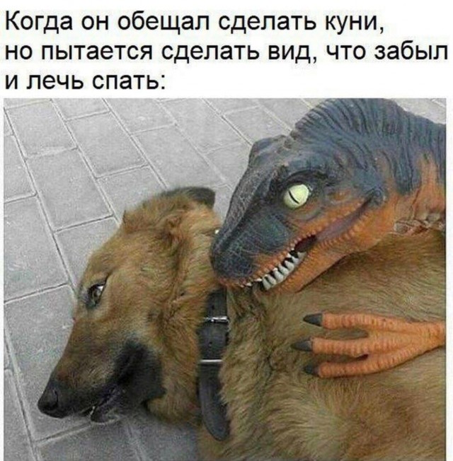 Немного мемчиков. Для взрослых 18+. Часть 5