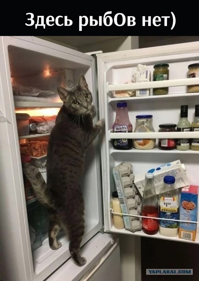 Увы, девки, природа, мы не при делах