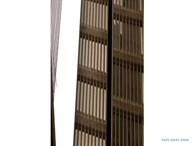 В поисках гамбургера..