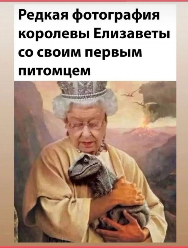 Народная меДИЧина