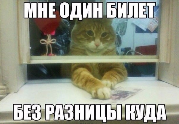 В Госдуме РФ предложили печатать авиабилеты на русском языке