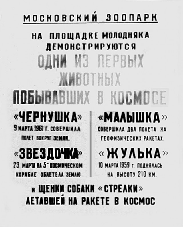 Победная поступь идиотизма по планете – том 12