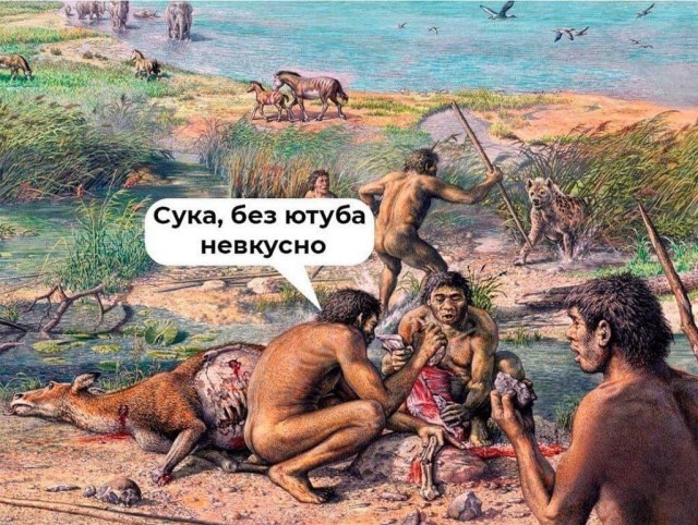 Нуштош 03.08.2023