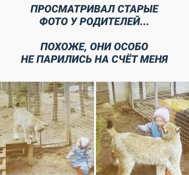 Так себе картинки 18.09.23