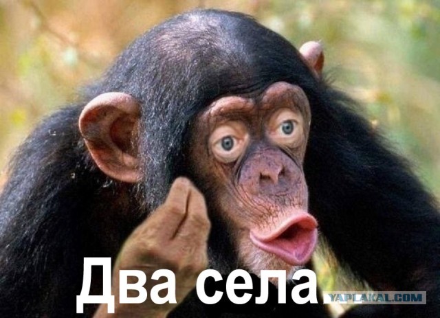 Путин рассказал о последствиях поставок ATACMS Украине