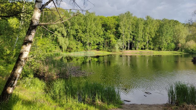 Красивые фото ЯПа