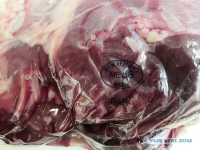 Гусь Новогодний