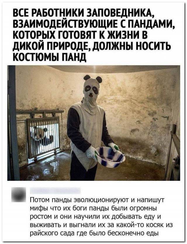 Забавные комментарии из социальных сетей (12.02.24)