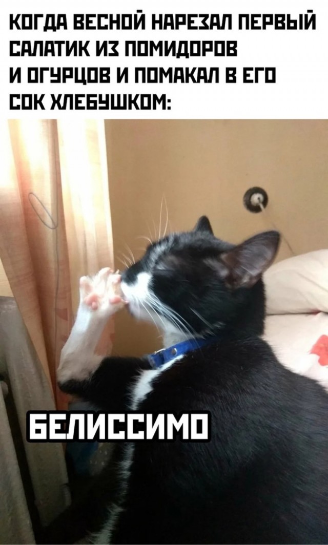 Так себе картинки 01.04.24