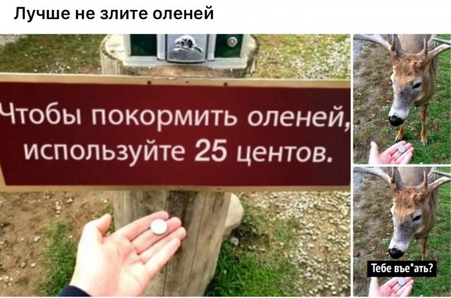 Никакие картинки