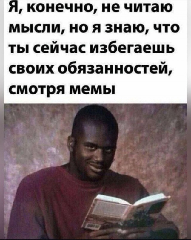 Немного забавных картинок от 01.09.2024