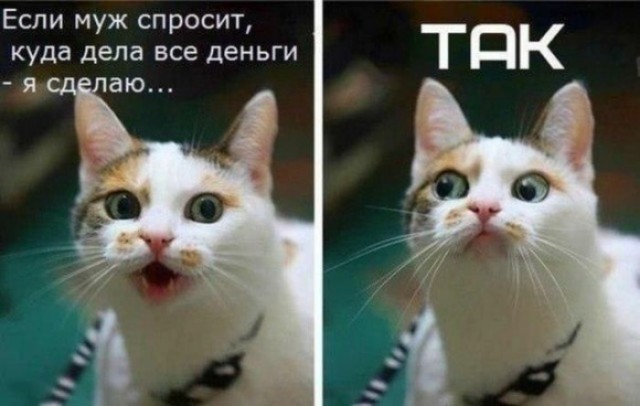 Баяны: апрель 2023 г - июль 2023 г