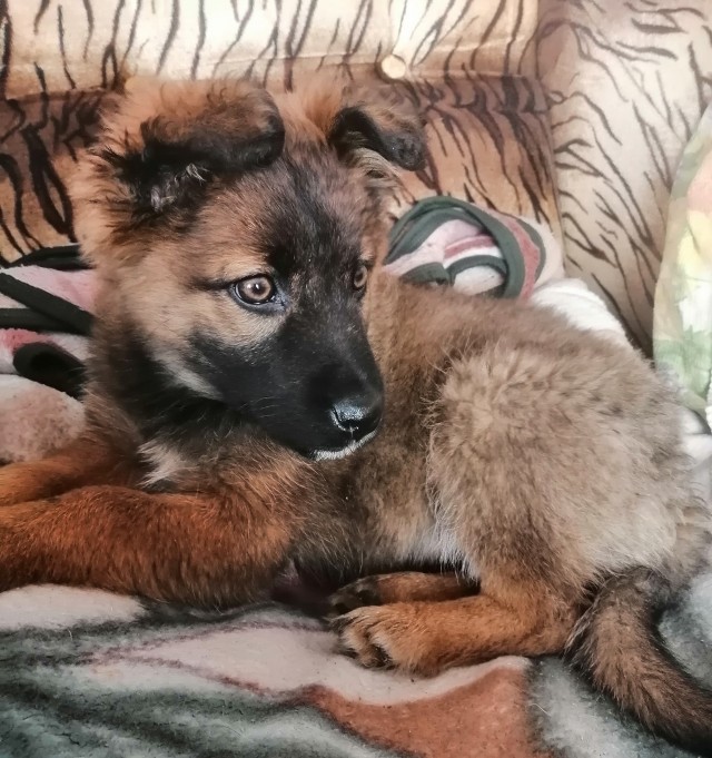 Сила привычки