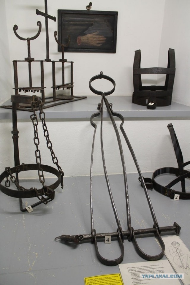 В Германию на сертификацию.