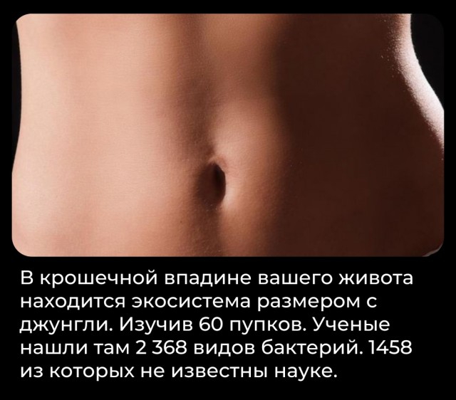 Всячина