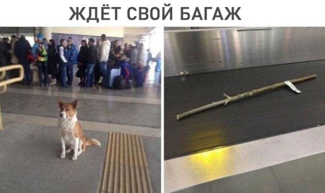 Завалялось тут случайно немного забавных картинок